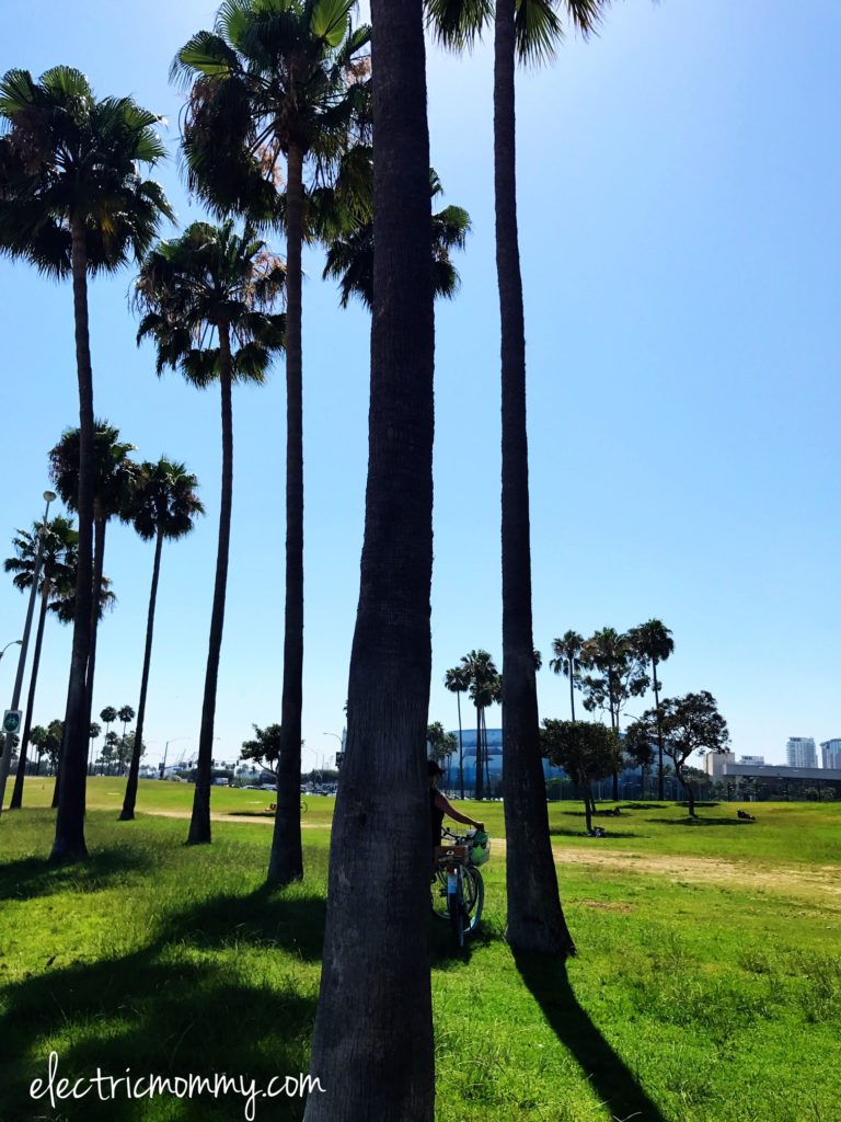 LA beaches, LA, City of LA, Socal Beaches, Long Beach, Best LA Beaches
