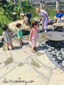 Huntington Library and Botanical Gardens, Things to do in LA with Kids, Pasadena, Kid Activities 