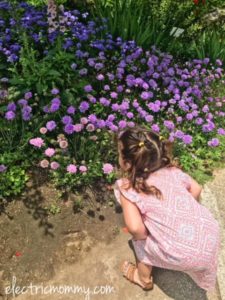 Huntington Library and Botanical Gardens, Things to do in LA with Kids, Pasadena, Kid Activities (3)
