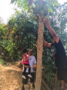 Our Trip to Oaxaca City Mexico - Picking fruit