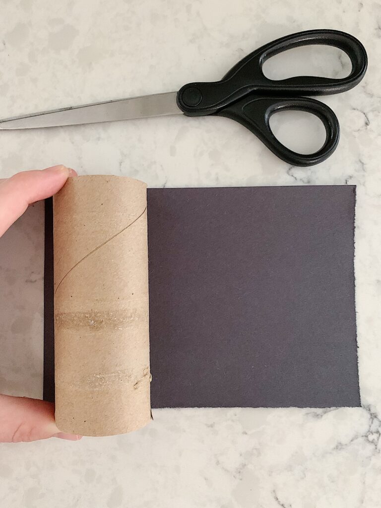 Crafting With Toilet Paper Rolls - Step by Step Guide