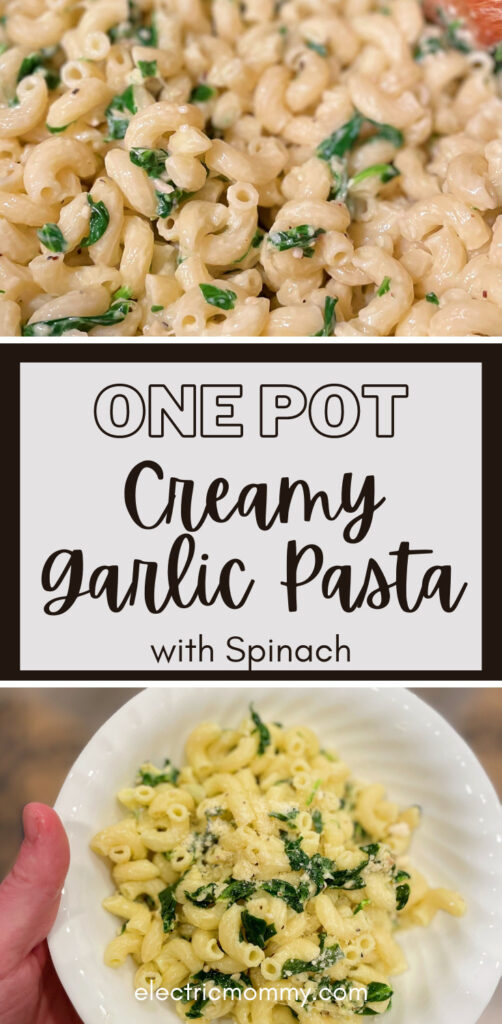 One Pot Creamy Garlic Pasta | One Pot Recipes